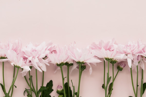 2 Flowers