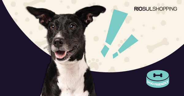 RioSul Shopping é o novo destino para o seu amigo de quatro patas – Registe-o já!